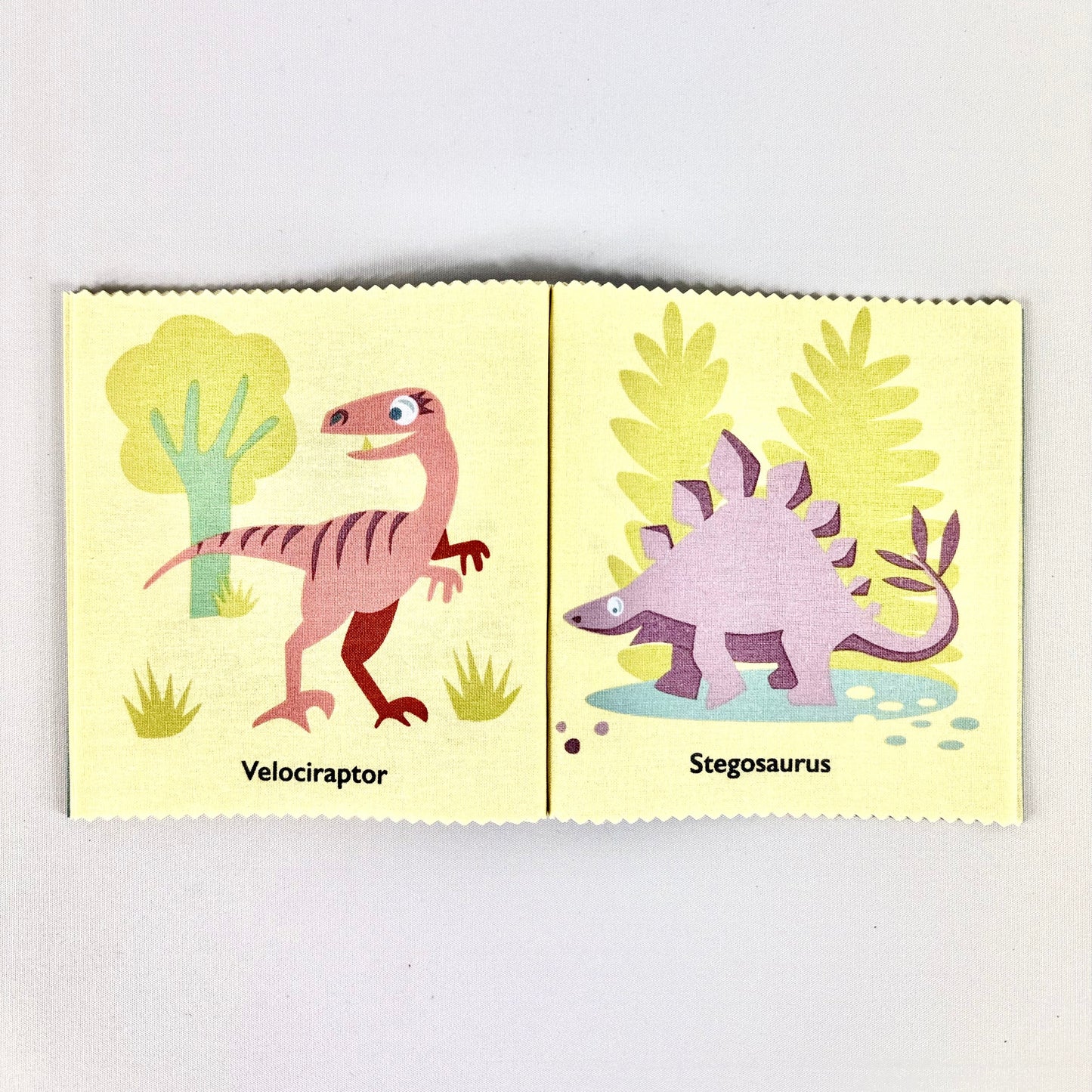 My First Dinosaur Rag Book