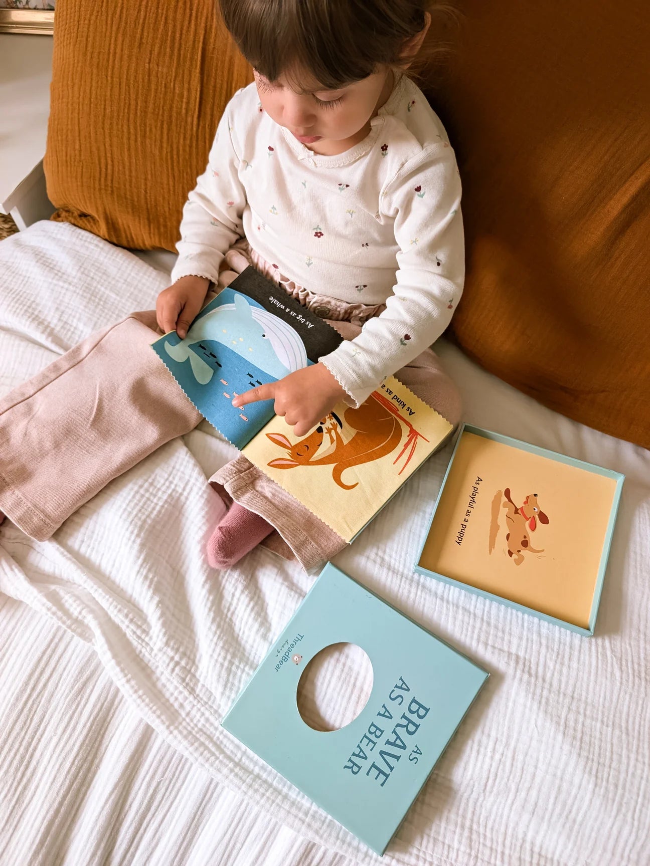 As Brave As A Bear Rag Book
