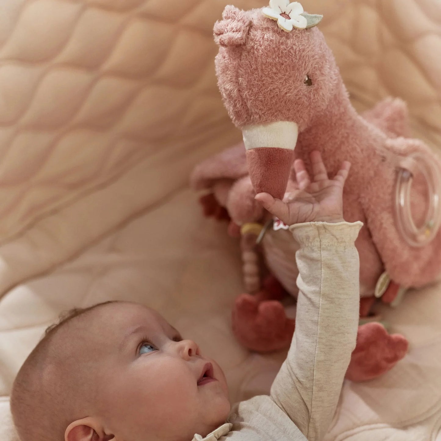 Flamingo Activity Toy