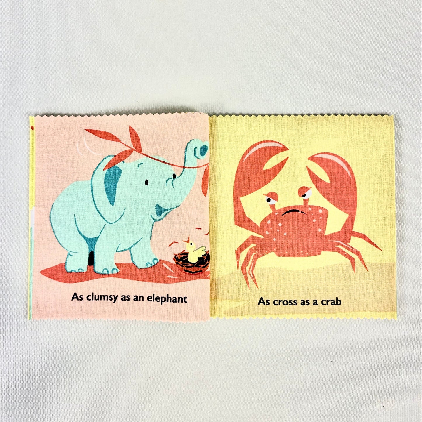 As Brave As A Bear Rag Book