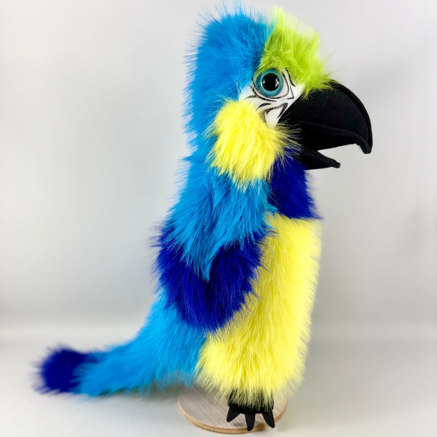 Blue & Gold Macaw Puppet