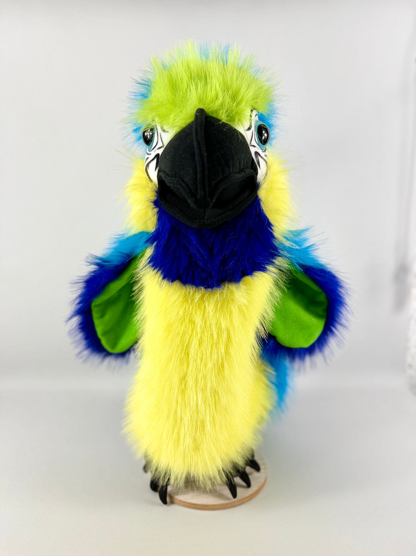 Blue & Gold Macaw Puppet