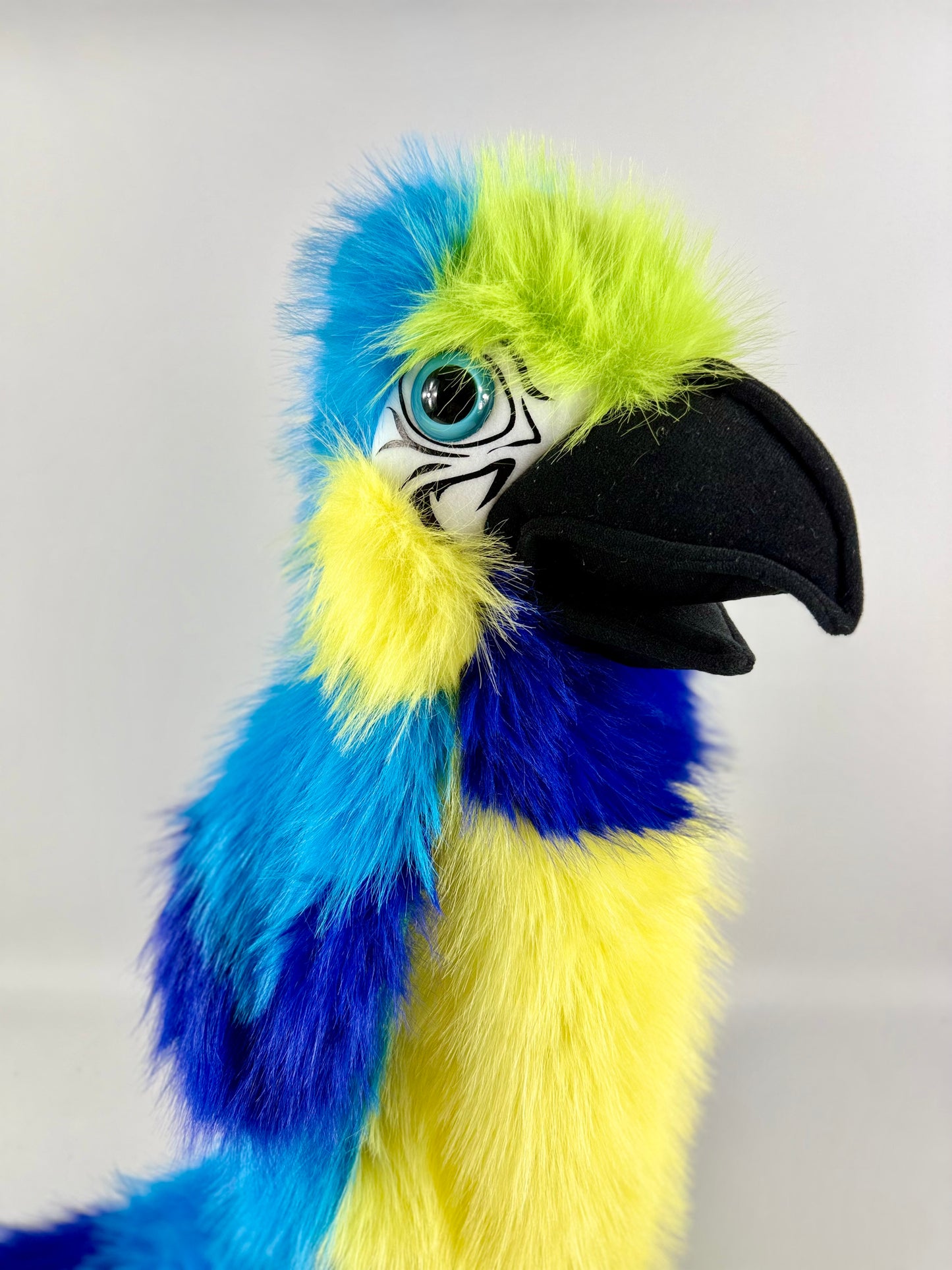 Blue & Gold Macaw Puppet
