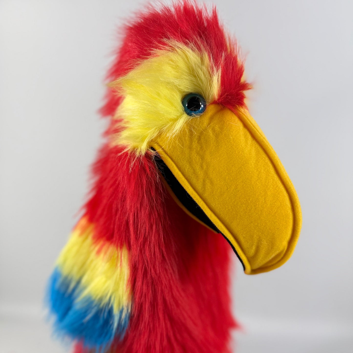 Scarlet Macaw Puppet