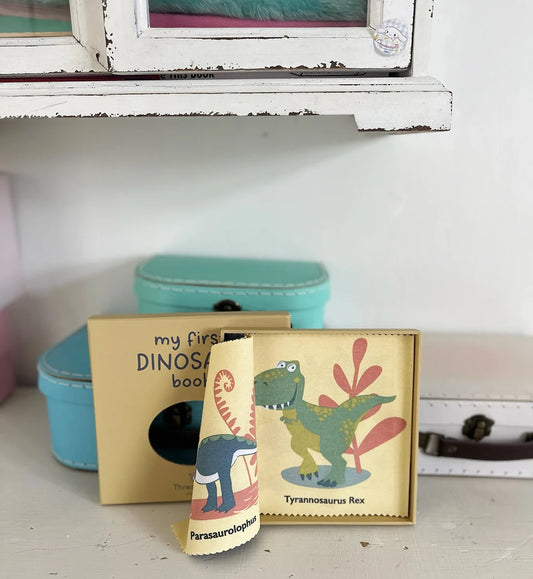 My First Dinosaur Rag Book