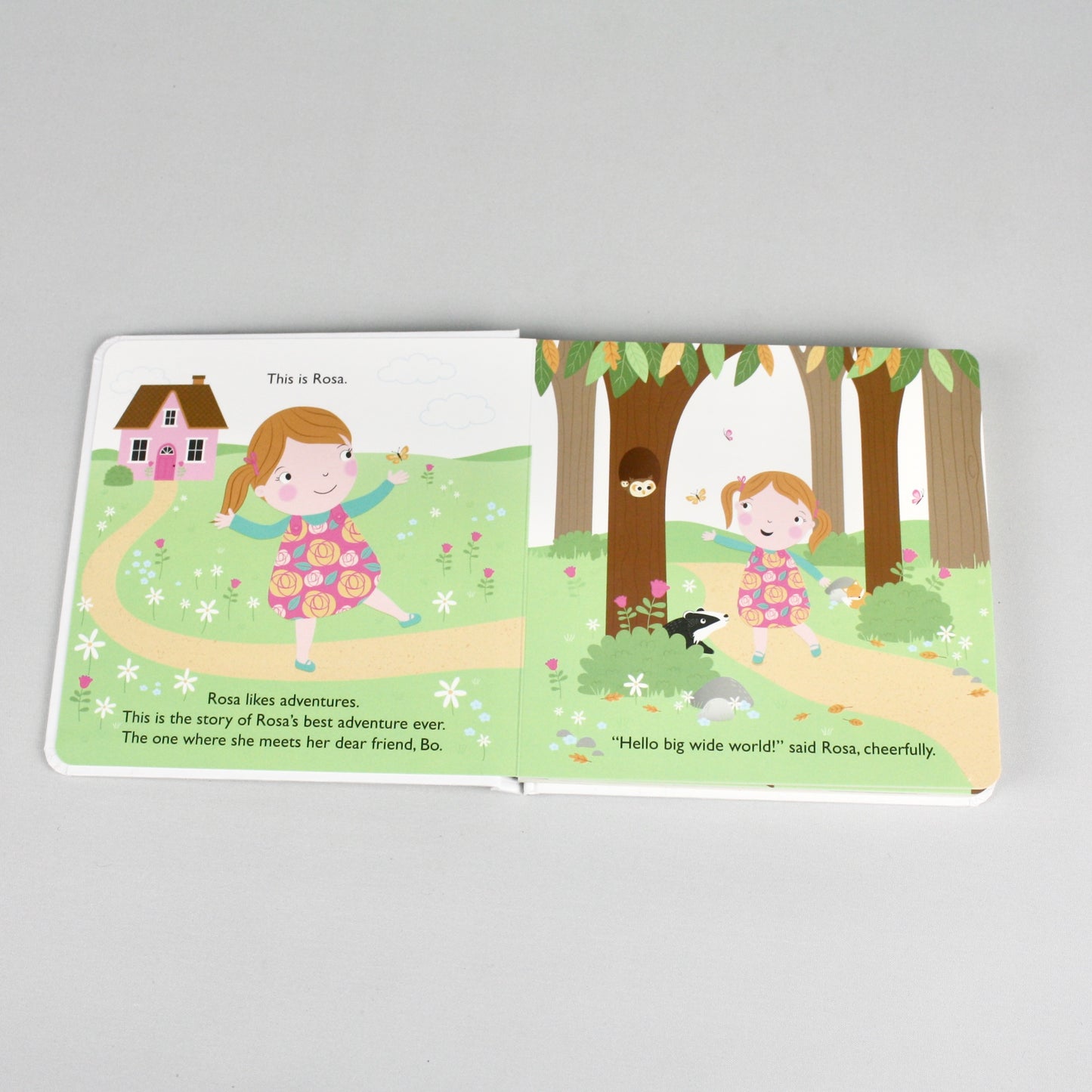 Woodland Friends Gift Set Nesting Babies and Book